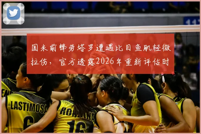 国米前锋劳塔罗遭遇比目鱼肌轻微拉伤,官方透露2026年重新评估时间与恢复关键