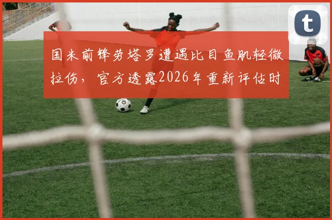 国米前锋劳塔罗遭遇比目鱼肌轻微拉伤，官方透露2026年重新评估时间与恢复关键
